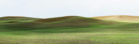 Palouse farmland panorama, 2013–2014.