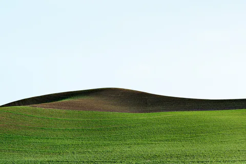 Palouse farmland photograph, archive DSC 0901, 2013–2014.
