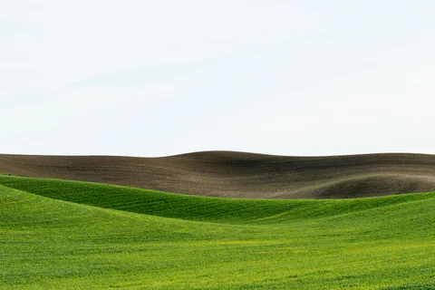Palouse farmland photograph, archive DSC 1420, 2013–2014.