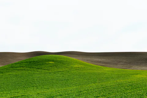 Palouse farmland photograph, archive MV12, 2013–2014.