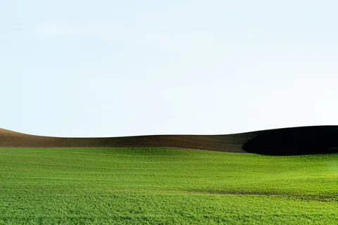 Palouse farmland photograph No. 14, 2013–2014.