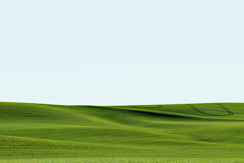 Palouse farmland photograph No. 29, 2013–2014.