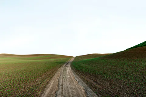 Palouse road study No. 4, 2013–2014.