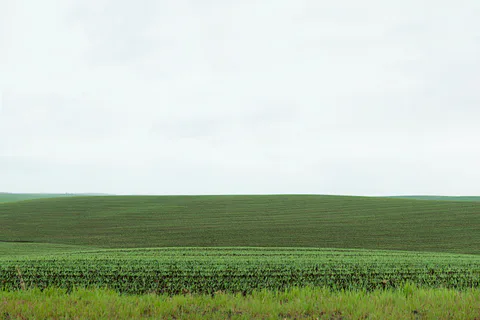 Palouse farmland study WIP 016, 2013–2014.