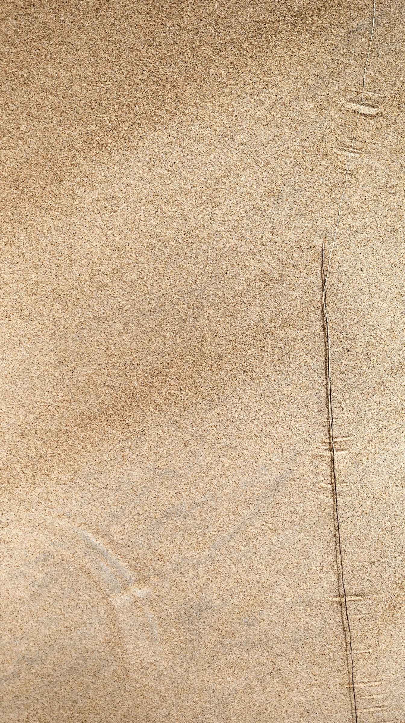 Large macro: L1007065 Wahiba south wall (1).jpg.001 copy.jpg