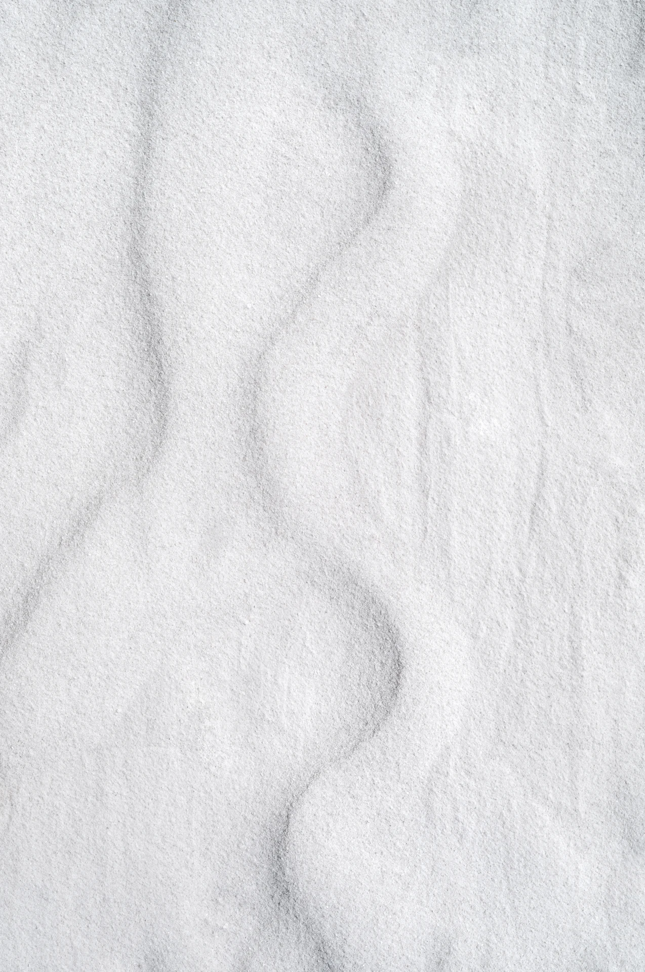 Edge crop: L1001493 copy.jpg