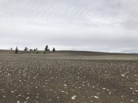 Wide volcanic plain beneath rippled gray clouds