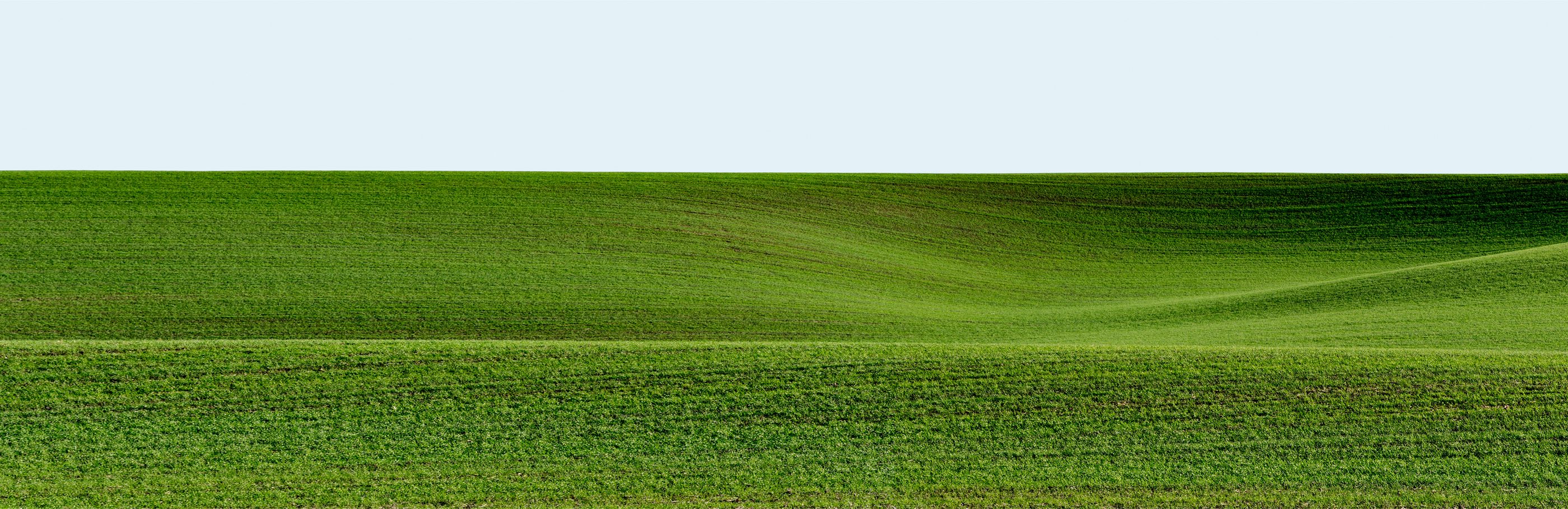 Palouse, 2013: wide green cultivated field.