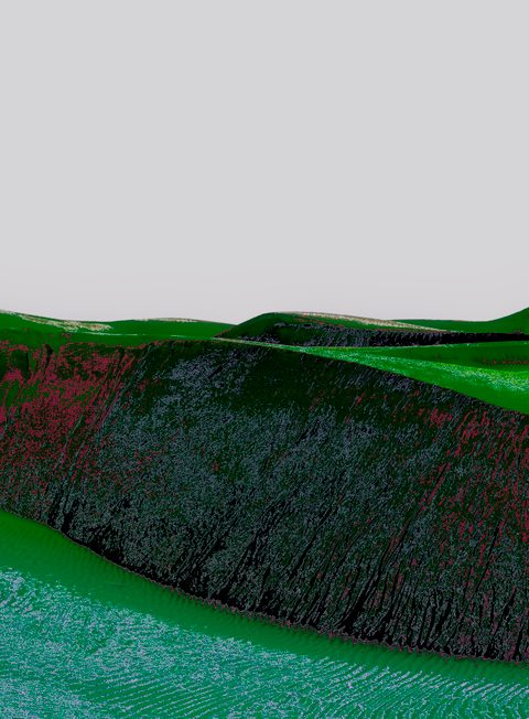 Green Omani landscape reconstruction, plate 2.