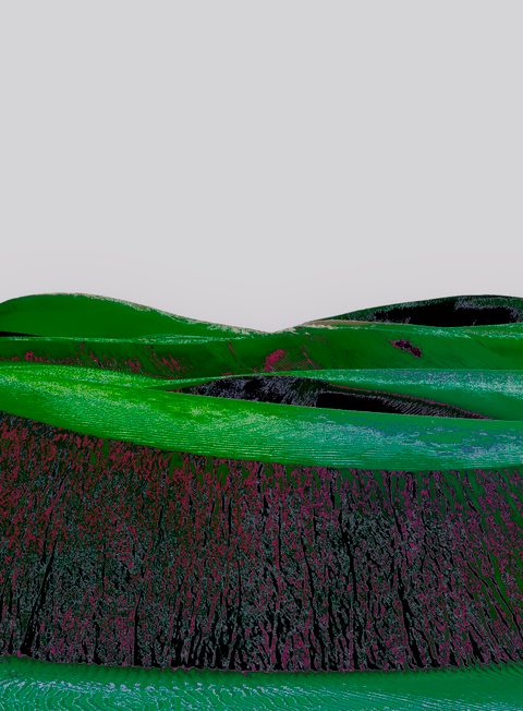 Green Omani landscape reconstruction, plate 3.