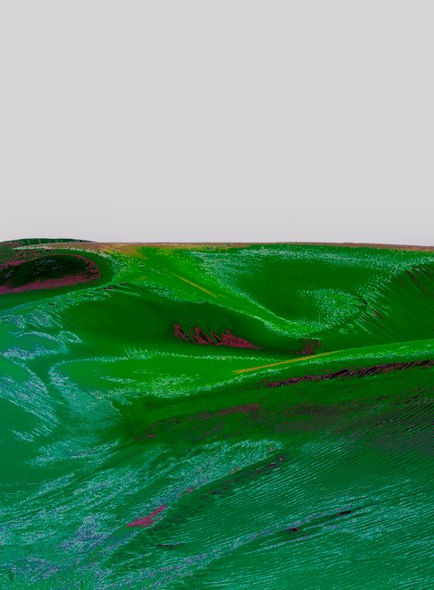 Green Omani landscape reconstruction, plate 5.
