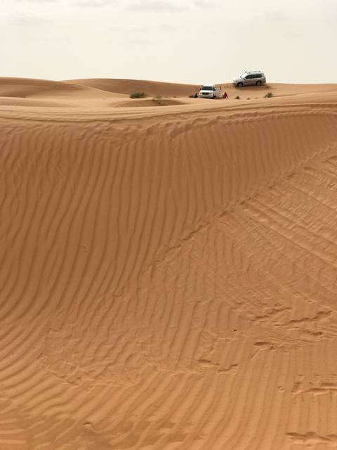 Vehicles crossing wind-rippled sand in the Wahiba dunes