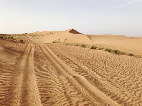 Vehicle tracks leading toward a sculpted dune ridge