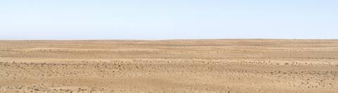 Wide panorama of low dunes and sparse vegetation in the Wahiba Sands