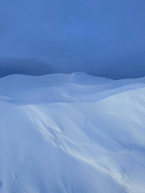 Winterblue photograph 29, Camas Prairie.