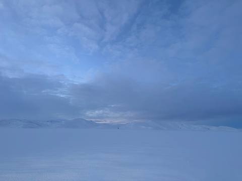 Winterblue photograph 8, Camas Prairie.