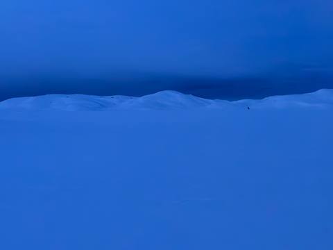 Winterblue photograph 19, Camas Prairie.