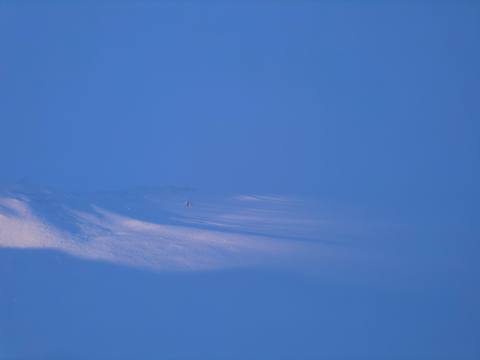 Winterblue photograph 35, Camas Prairie.