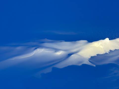 Winterblue photograph 5, Camas Prairie.