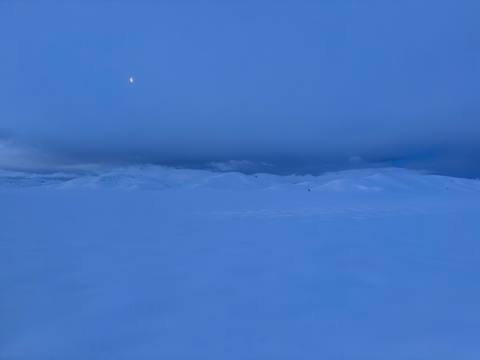 Winterblue photograph 17, Camas Prairie.