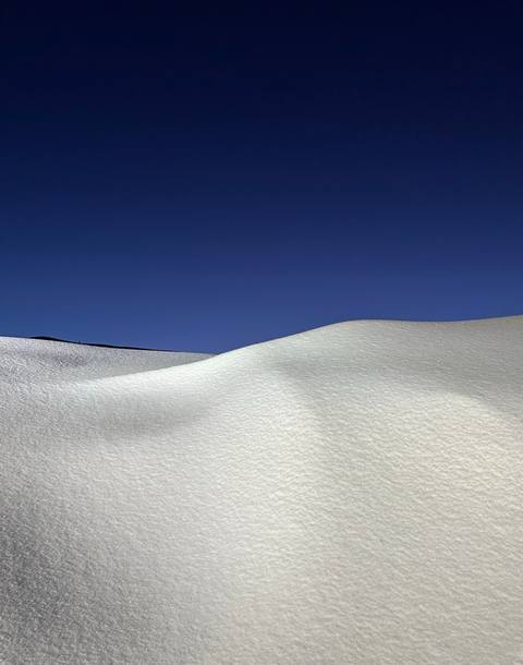 Winterblue photograph 30, Camas Prairie.