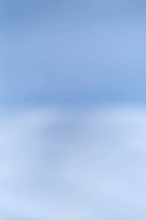 Winterblue photograph 42, Camas Prairie.