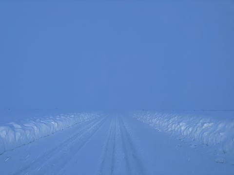 Snow-covered road vanishing into a whiteout