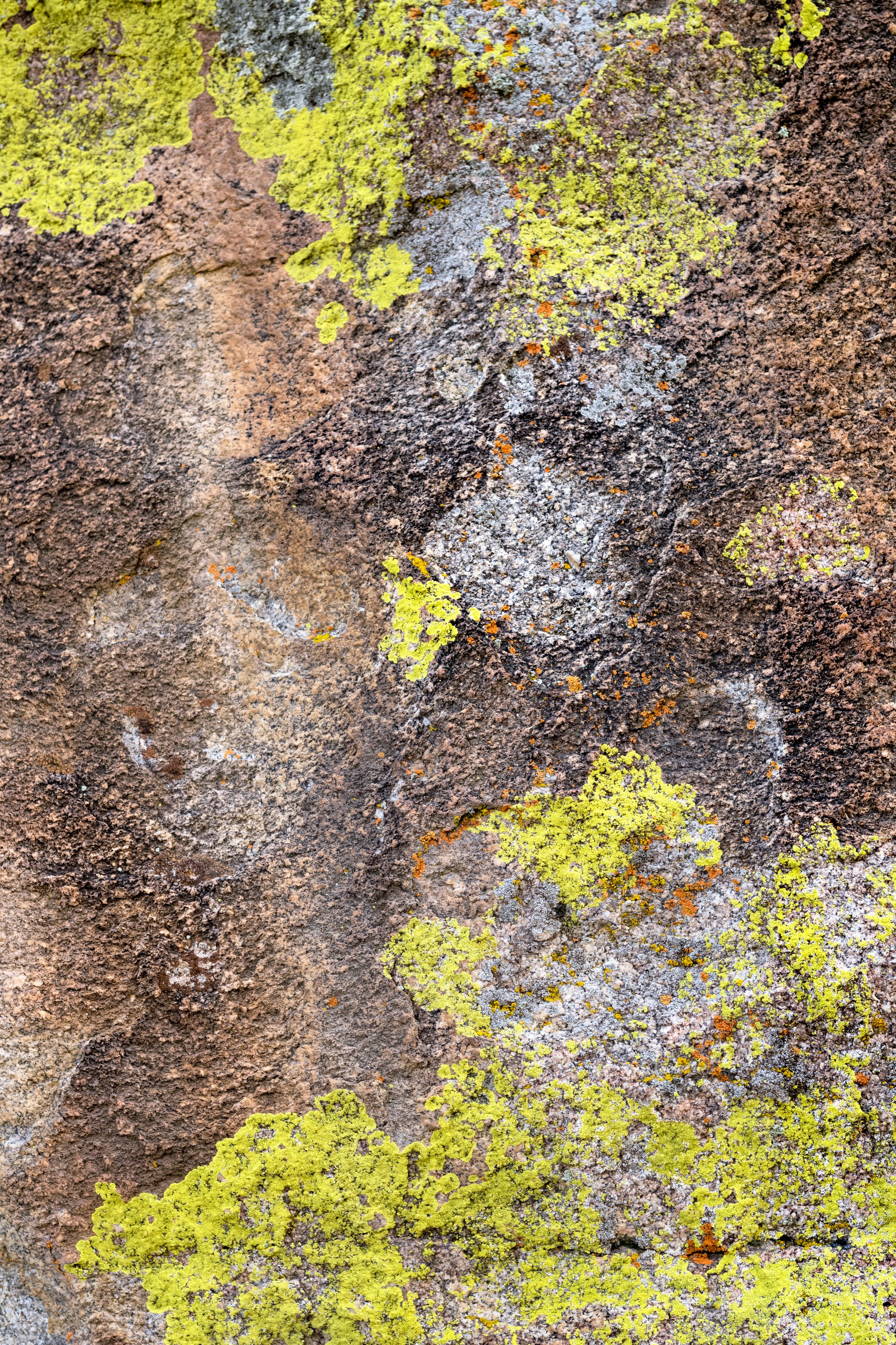 Detail image: L1008090 copy.jpg