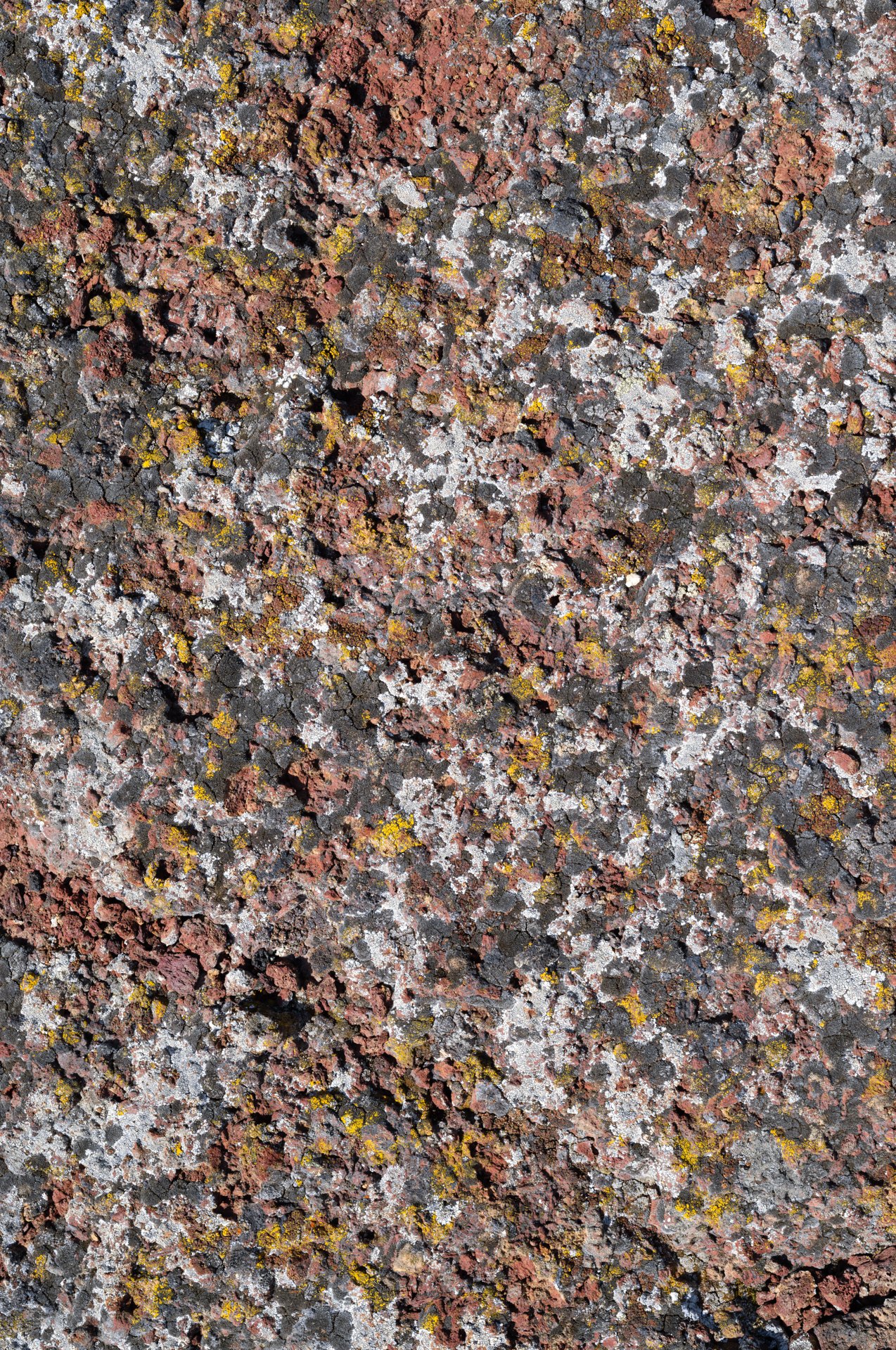 Narrow texture: L1008450_MATCH_OPTION 1_EW_1.jpg