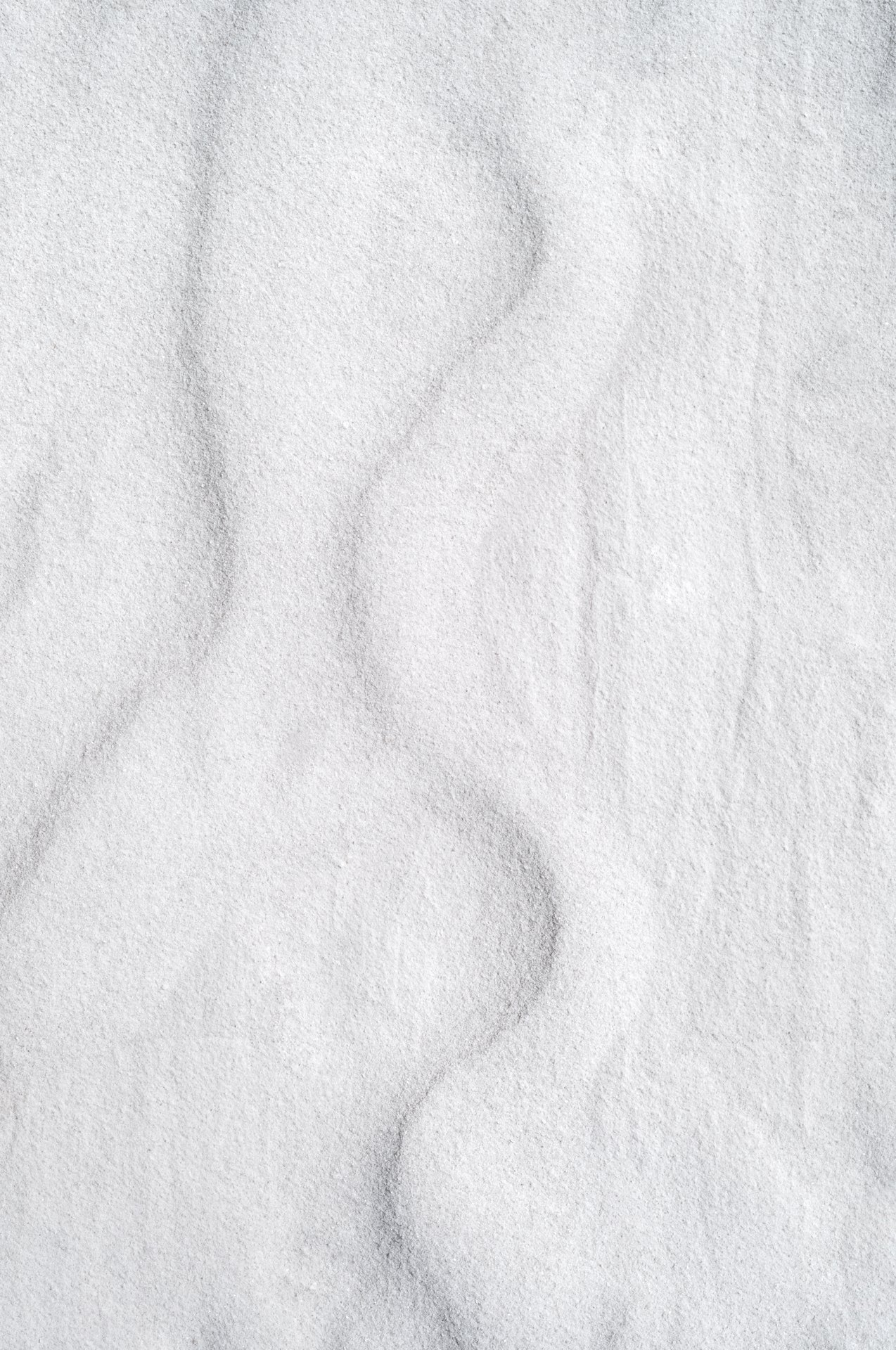 Edge crop: L1001493 copy.jpg